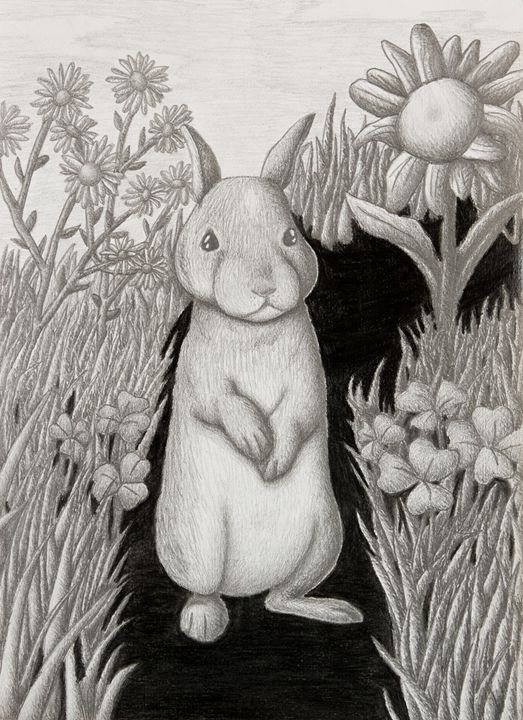 Bunny Rabbit - JK Art Life - Drawings & Illustration, Animals, Birds ...