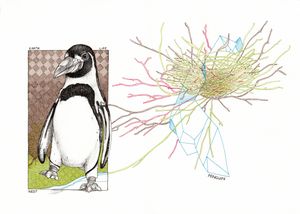 Earth, life, nest, penguin
