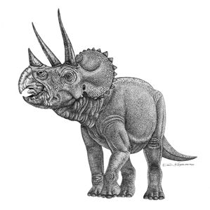 triceratops drawing