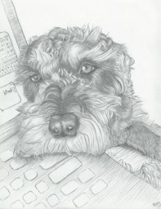 Get Off Your Computer - Marcia Charity for Animals