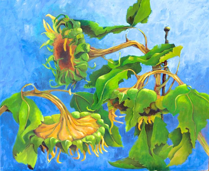Sunflowers - Mary Roberts Pictures