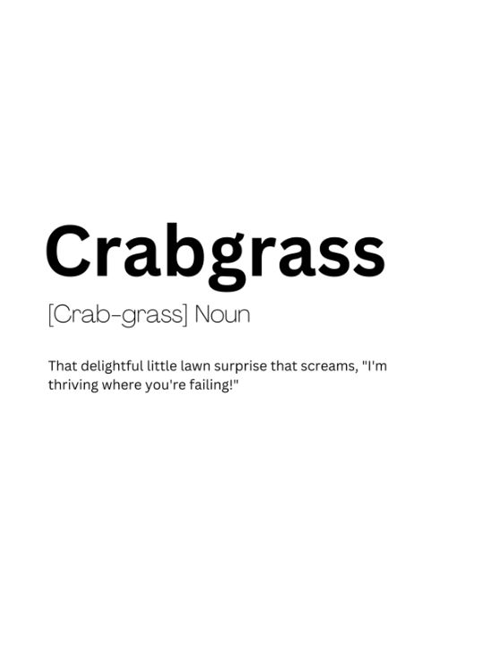 Crabgrass Dictionary Definition Dictionary Art Digital Art AI Crabgrass dictionary definition dictionary art digital art ai
