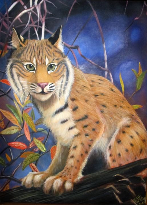 Bobcat - Victoria Filippi - Paintings & Prints, Animals, Birds, & Fish,  Wild Cats, Bobcat, Wildcat, & Lynx - ArtPal