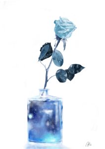 Blue Rose - Akimomiji colleciton