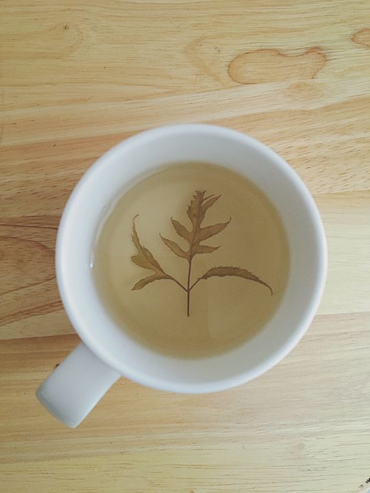 Buy Tea Leaves, Coffee & Tea, Food & Beverage, Photography at ArtPal