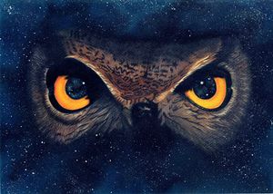 Space Owl