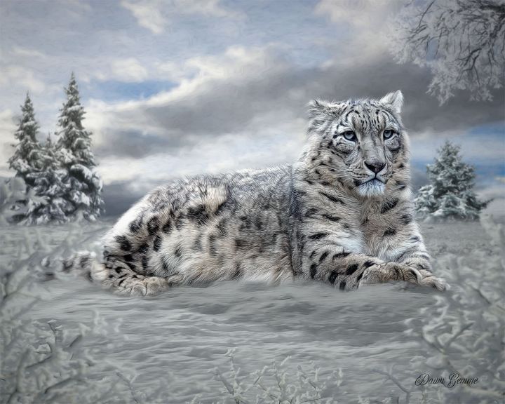 Snow selling Leopard Painting