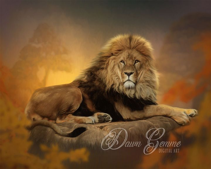 The Lioness Wall Canvas (16x20)