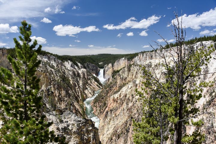 Yellowstone Grand Canyon - Aspen Ridge Gallery - Photography ...