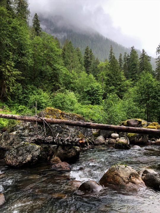 River View - fdxc - Photography, Landscapes & Nature, Rivers & Creeks ...