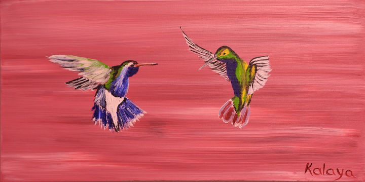 Hummingbirds - Kalaya Point