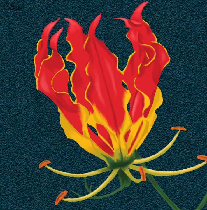 Flame Lily: Over 404 Royalty-Free Licensable Stock Vectors & Vector Art |  Shutterstock
