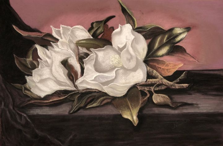 Magnolia Blossoms - Nance-Nicholas