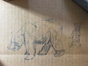 Bear study in graphite