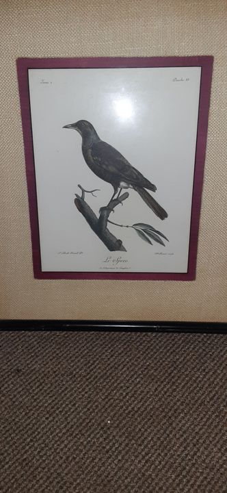 Crow - Affordable artworks co.