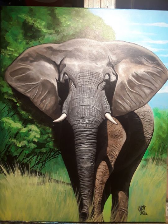 Elephant looking at you - Chrisart64 - Paintings & Prints, Animals ...