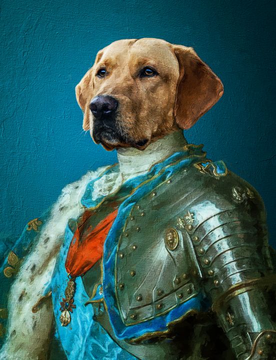 Dog portret - Digital Art
