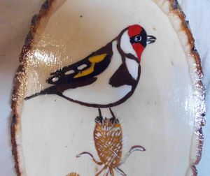 Bird on Wood
