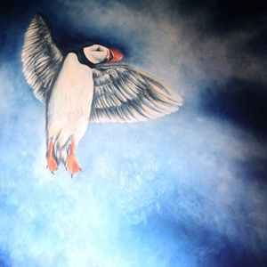 Angelic puffin