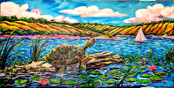 Turtle on Lake - Tim Collins Art