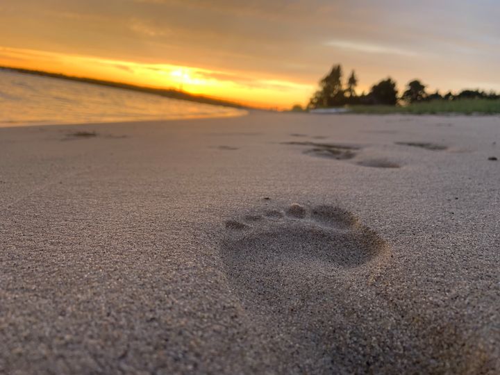 Sand tracks - Nature_photography