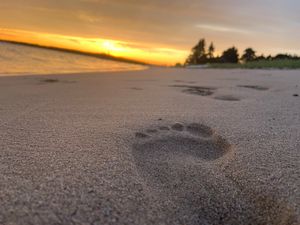 Sand tracks