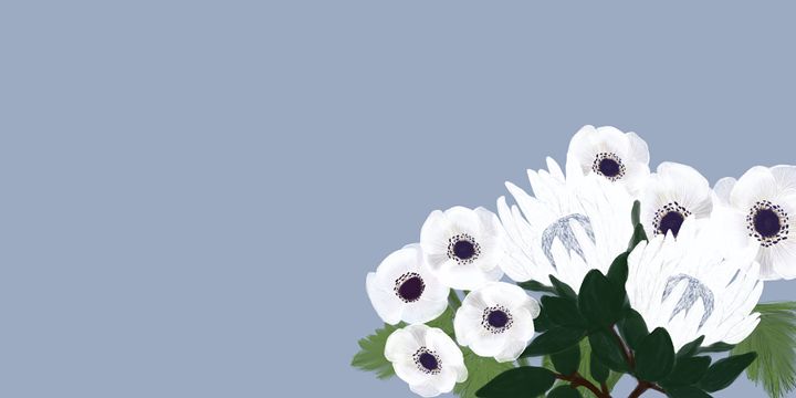 white flowers - MELE