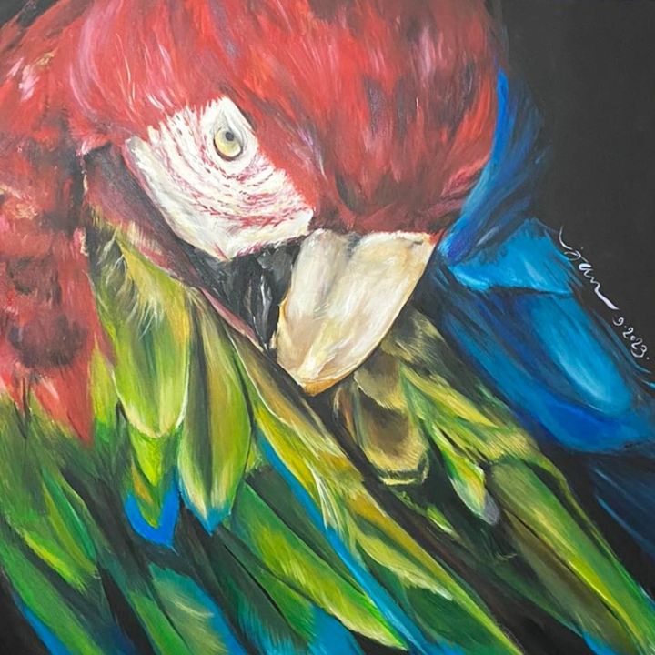 Captain flint - Jan - Paintings & Prints, Animals, Birds, & Fish, Birds ...