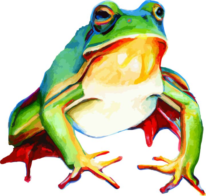 colorful frog drawings