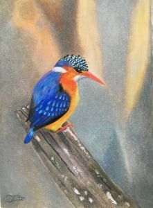 Color pencil art - Hems - Drawings & Illustration, Animals, Birds, & Fish,  Birds, Kingfisher - ArtPal