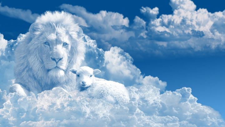 LAMB  AND LION  IN THE CLOUDS - HEARTLAND ART