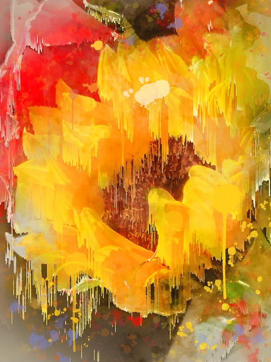 Sunflower - Jay Carlson