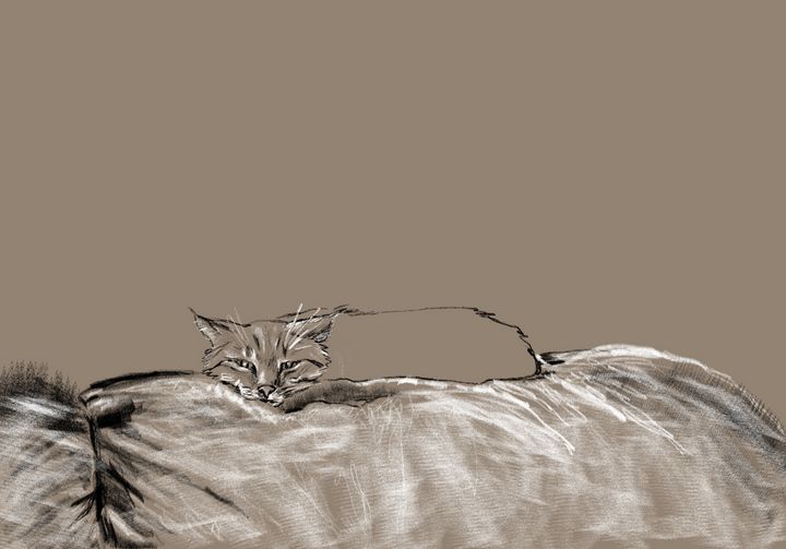 Couch Dweller Christie Flemming Digital Art, Animals, Birds, & Fish