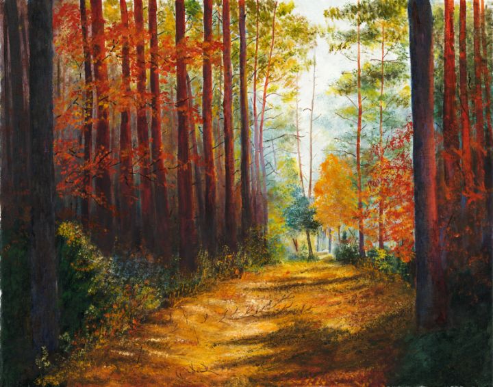 Autumn Forest - Roger Schmidt Studio