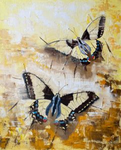 SOLAR BUTTERFLIES- butterflies art