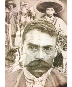 Zapata - Nalabear products
