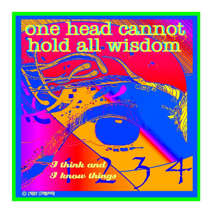 ONE HEAD WISDOM - LARRY STEINBAUER