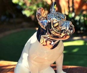 silver french bulldog