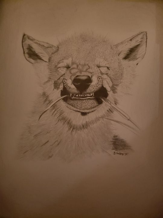wolf pup playing drawing