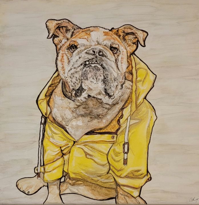 English on sale bulldog raincoat