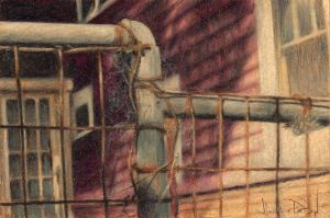 Metal Fence, Cobweb, Back Door - Heather D Boyd