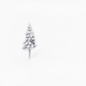 Tree In The Snow. Minimalist winter