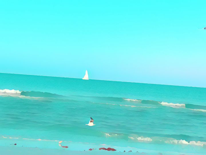Turquoise Sailboat Seagull - Sunshine’s Art Gallery