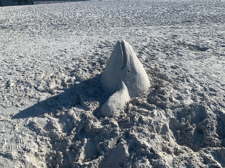 Whale Sand Sculpture - Sunshine’s Art Gallery