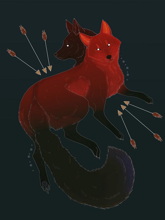 Two Foxed - Bethany Illustration