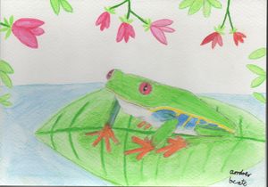 Frog on leaf at the lake