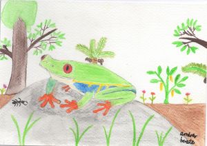 red eyed rainforest frog with an ant