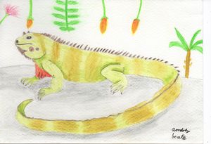 Green Iguana