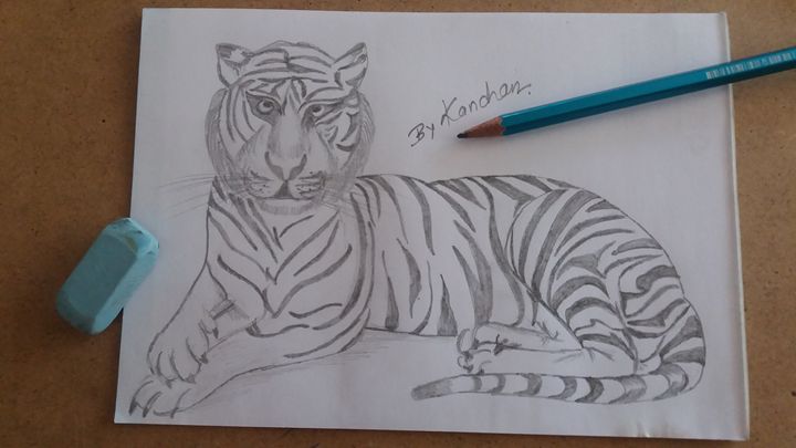 TIGER 1 Drawing by PRASENJIT NATH | Saatchi Art