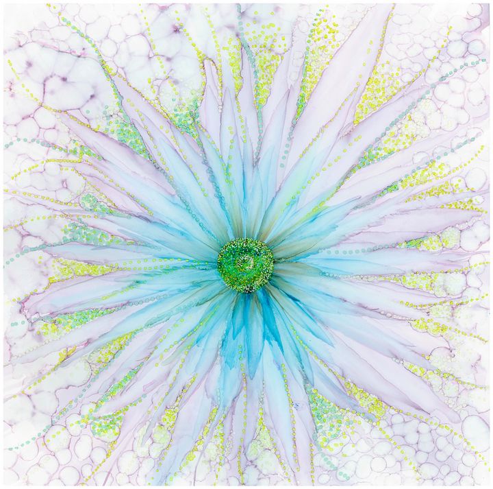 Blue and purple starburst flower - Nicoletdriver